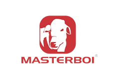 Logo Master Boi.